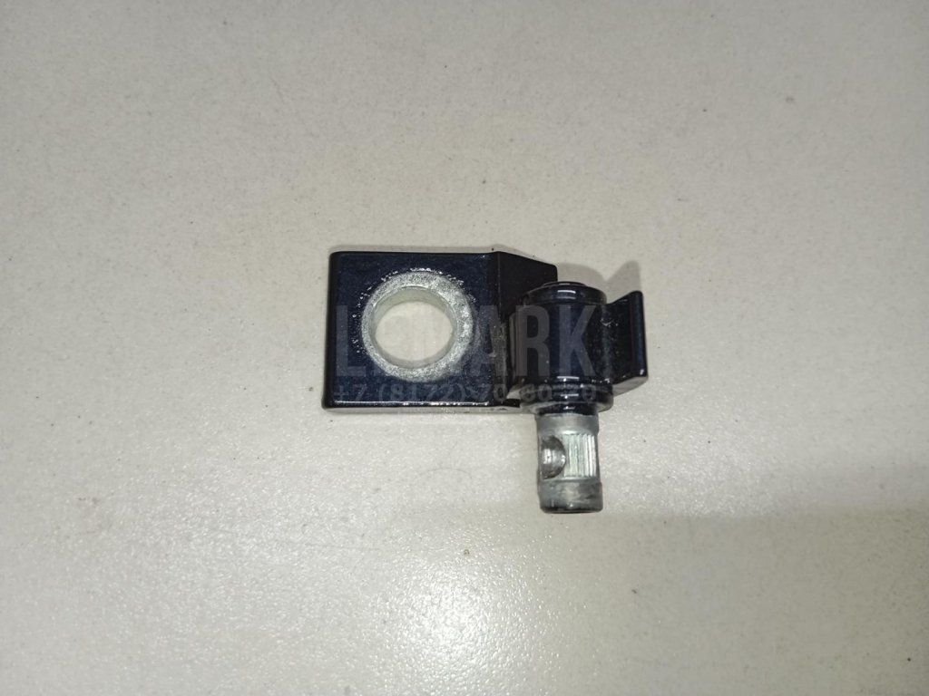 Петля двери задней левой нижняя