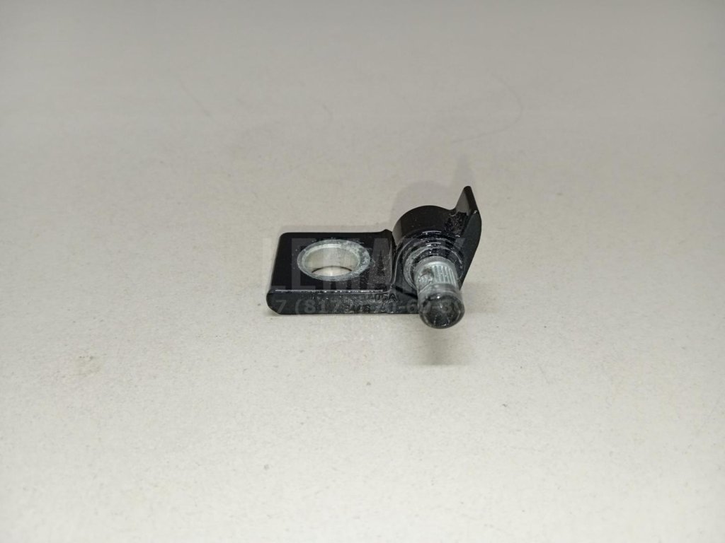 Петля двери задней левой нижняя