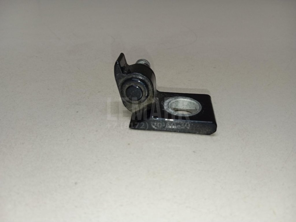 Петля двери задней левой нижняя