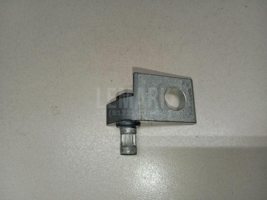 Петля двери задней левой нижняя