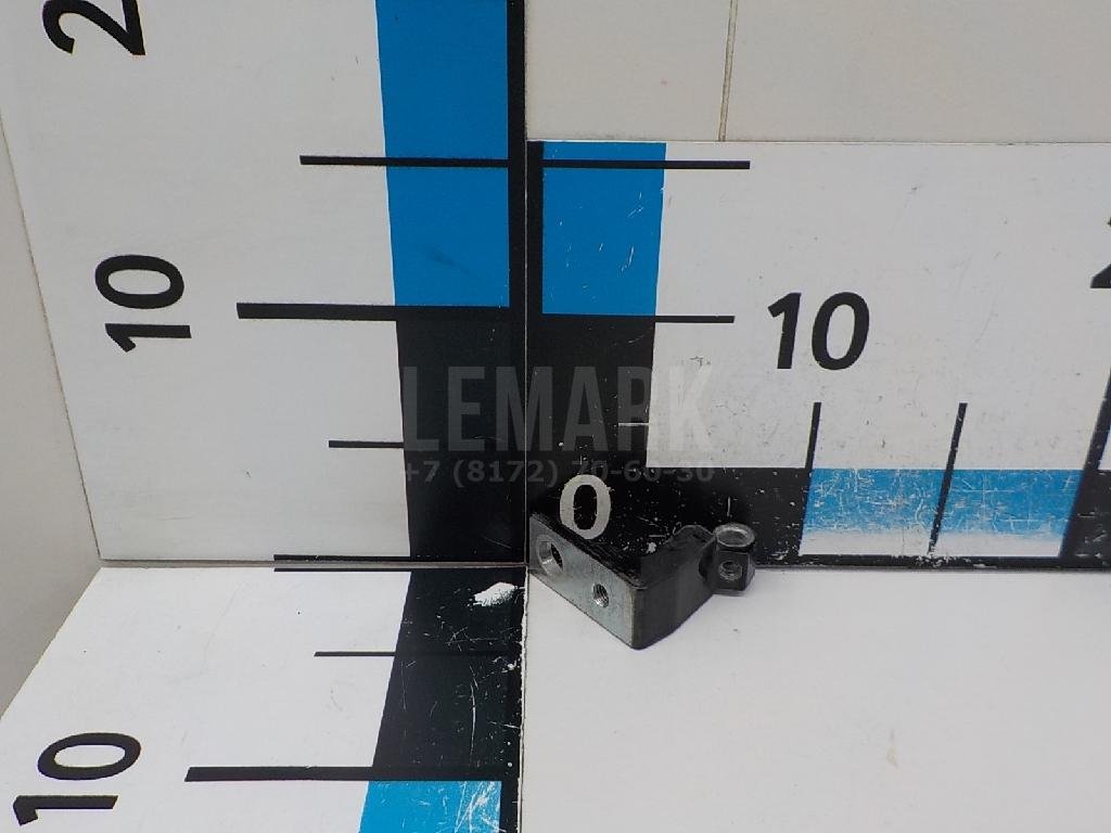 Петля двери задней правой нижняя