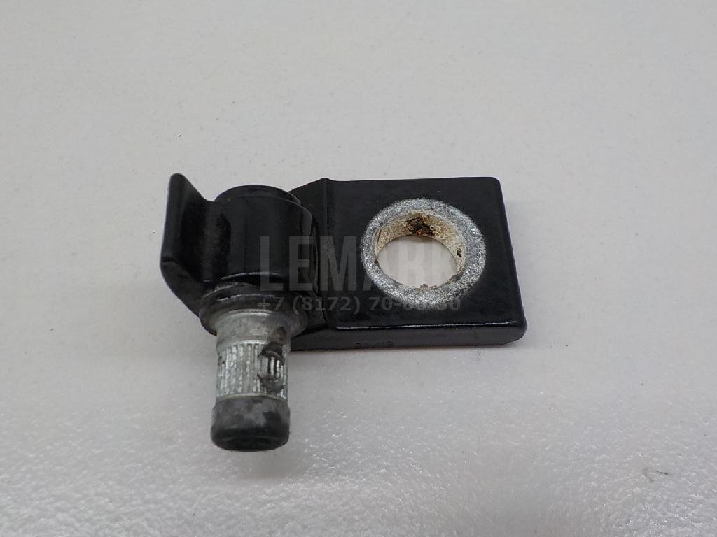 Петля двери задней правой нижняя