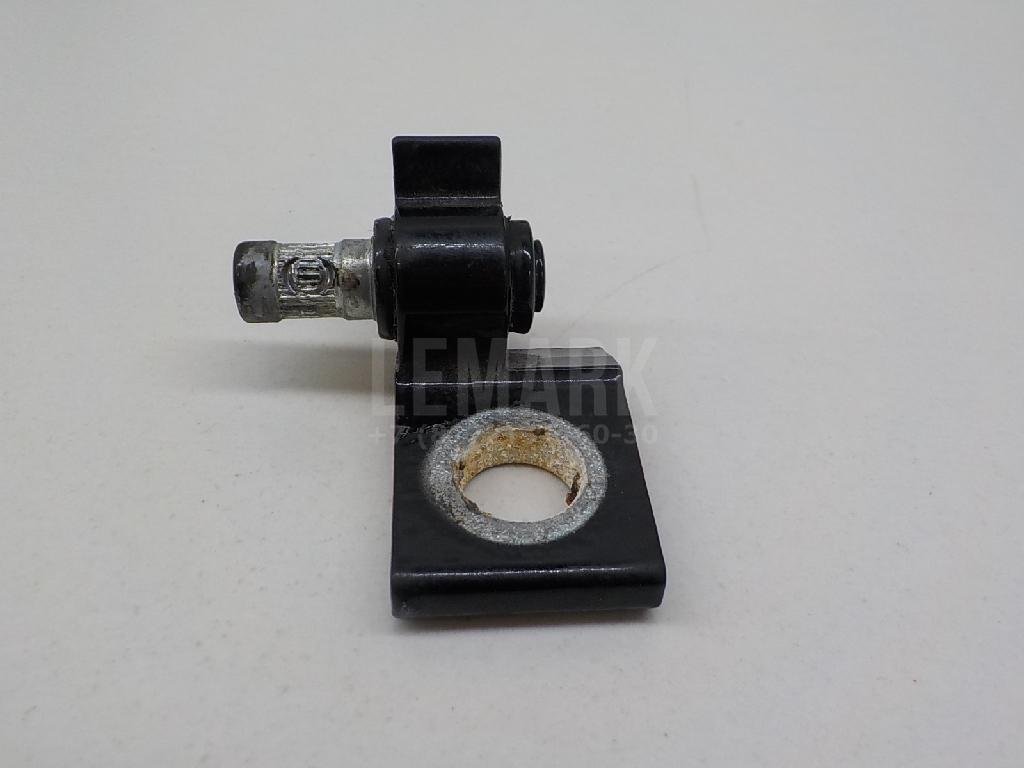 Петля двери задней правой нижняя