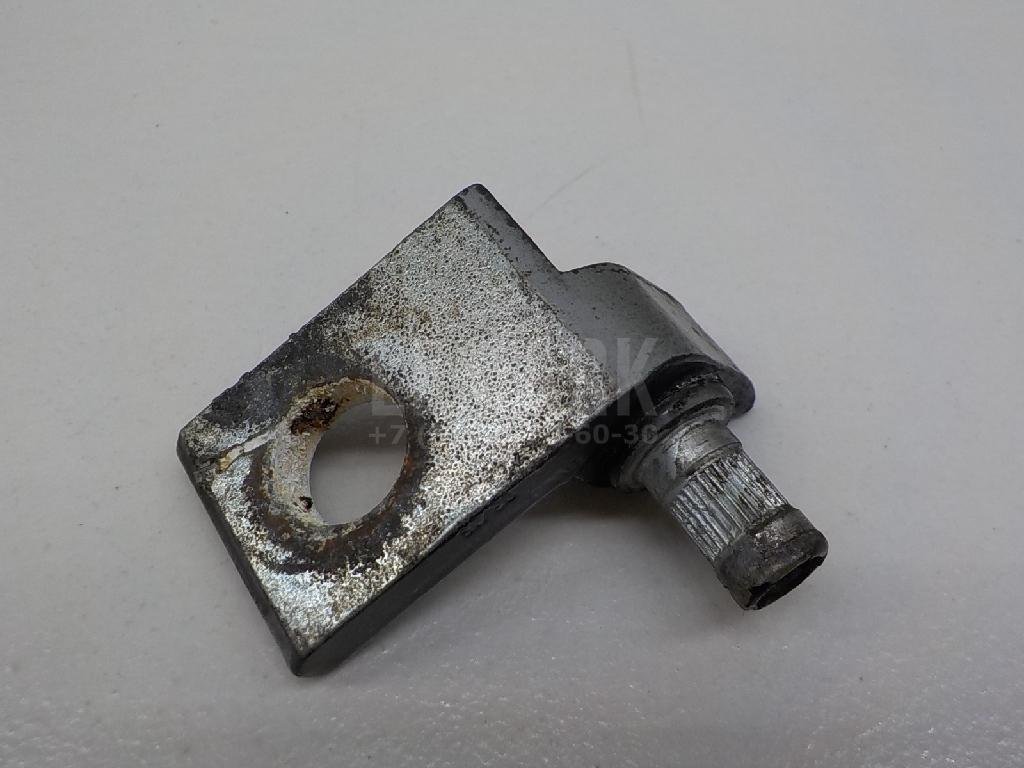 Петля двери задней правой нижняя