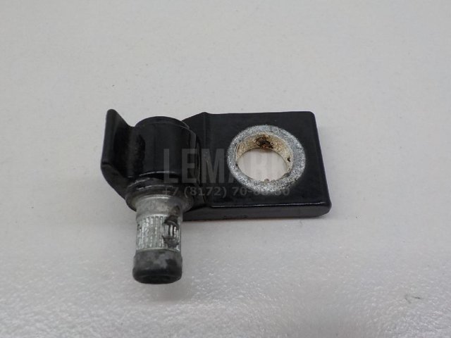 Петля двери задней правой нижняя