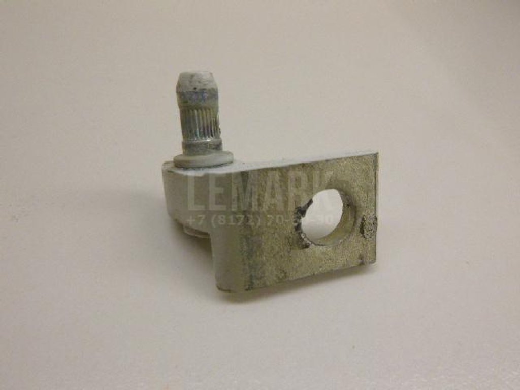 Петля двери