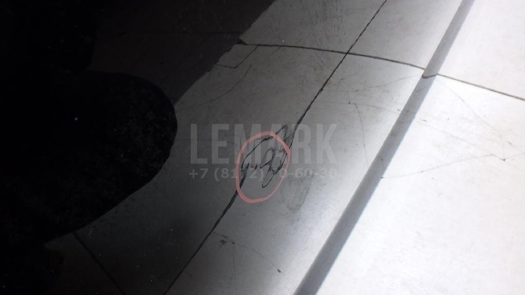 Дверь передняя левая