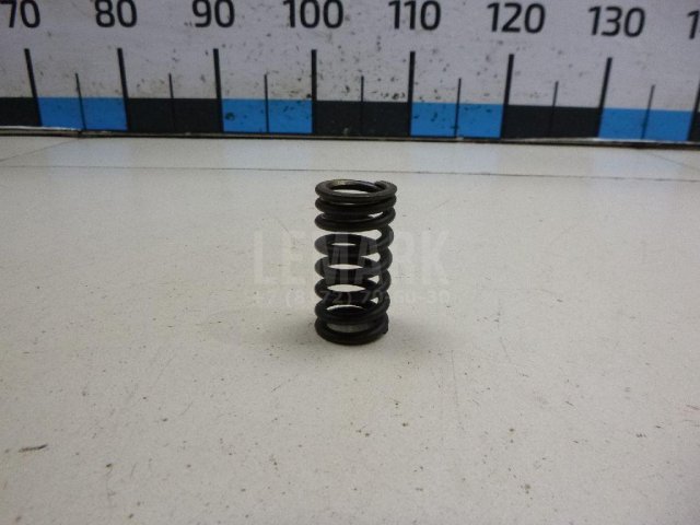 Пружина клапана