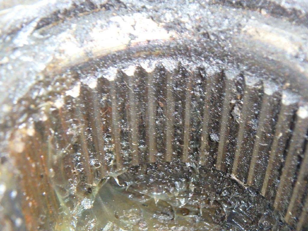 Подшипник ступицы