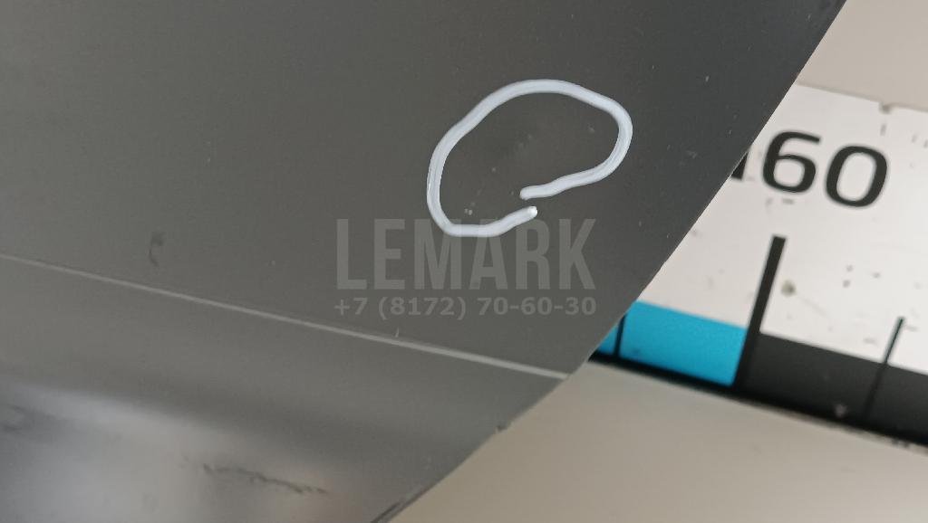 Дверь передняя левая