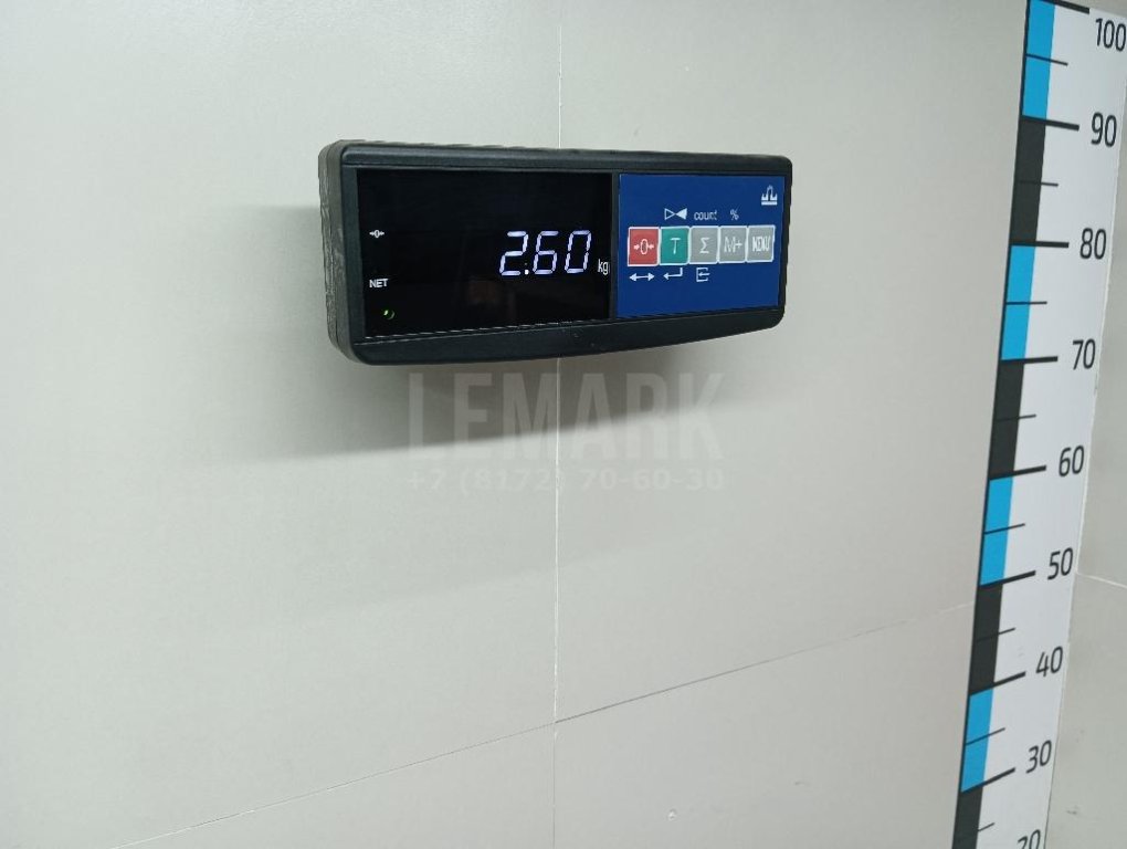 Ступица задняя