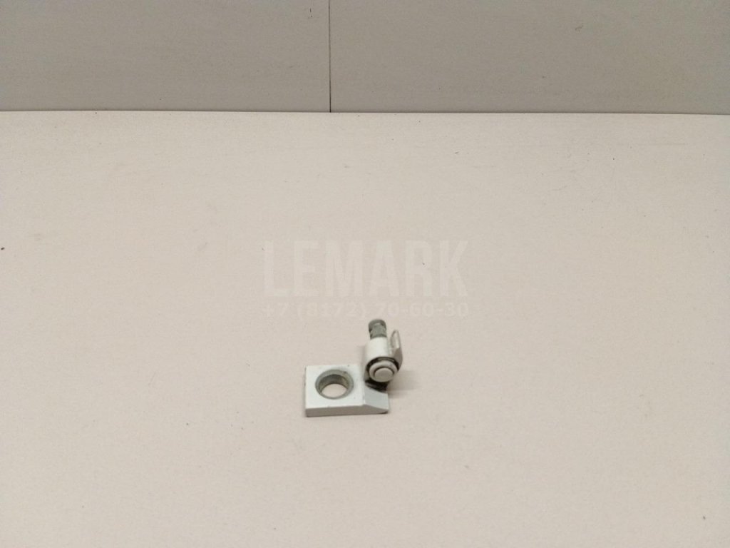 Петля двери