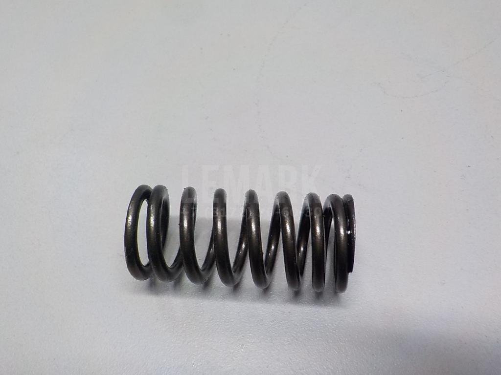 Пружина клапана