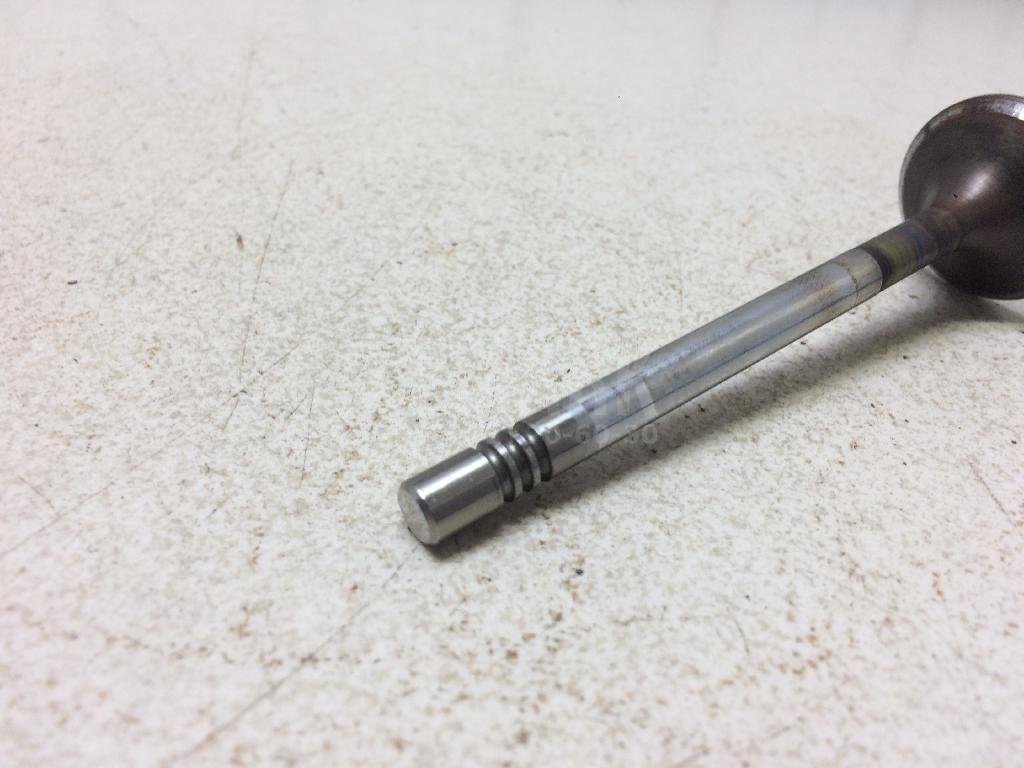 Клапан выпускной для  Audi A4 [B8] Allroad 2009-2015