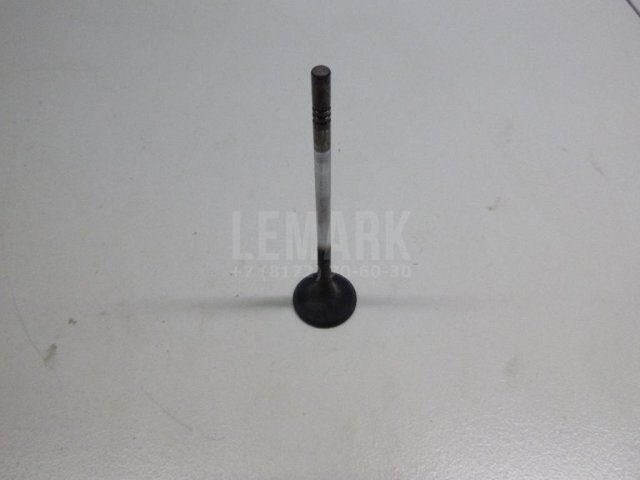 Клапан выпускной