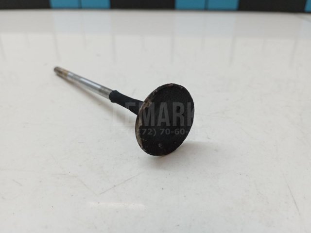 Клапан выпускной