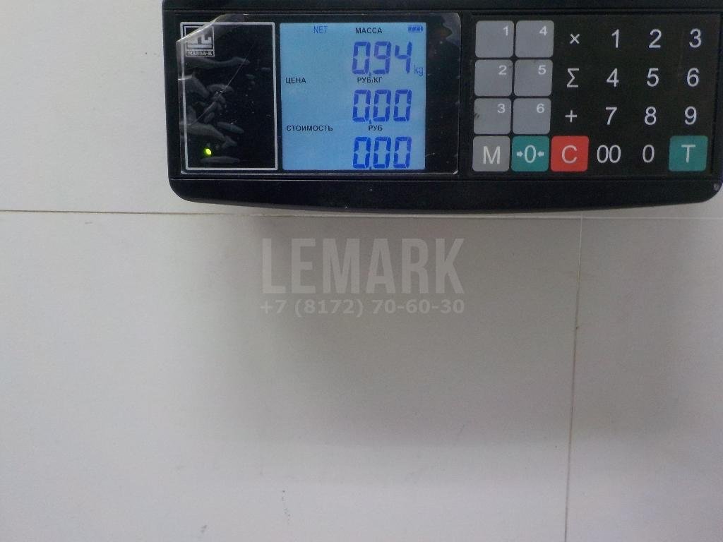 Стеклоподъемник электр. задний правый