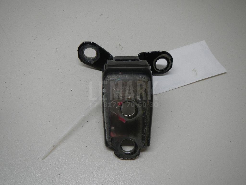 Петля двери задней левой нижняя