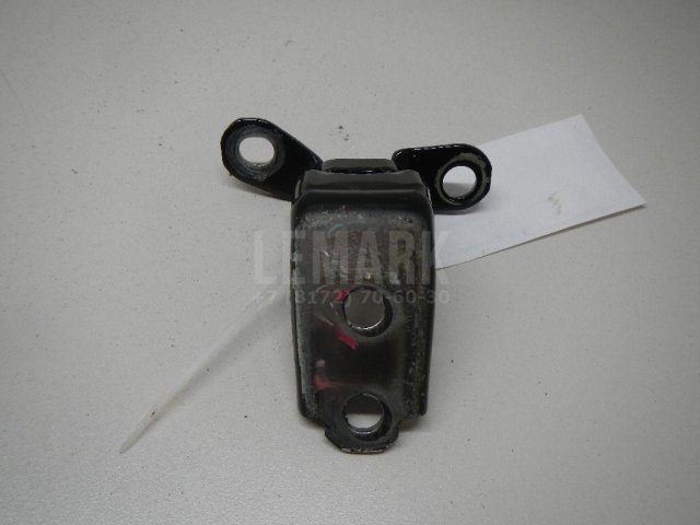 Петля двери задней левой нижняя