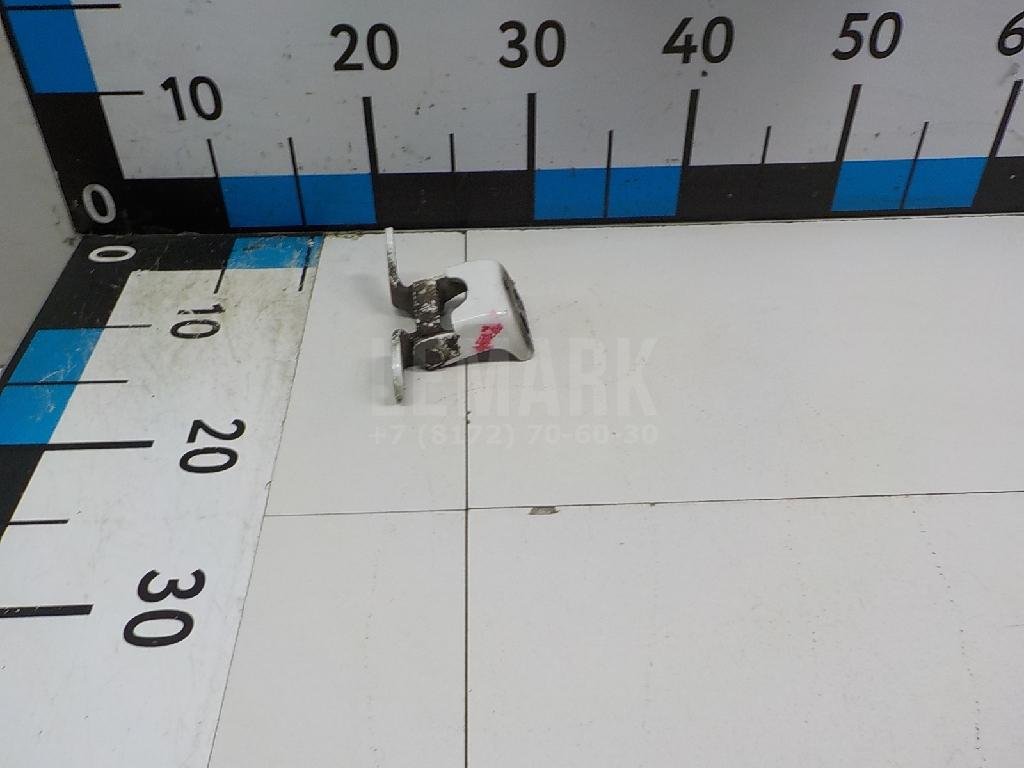 Петля двери передней правой нижняя