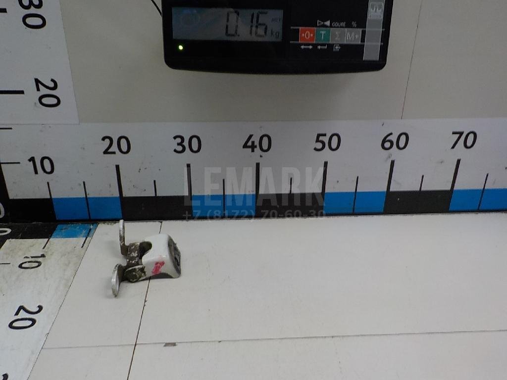 Петля двери передней правой нижняя