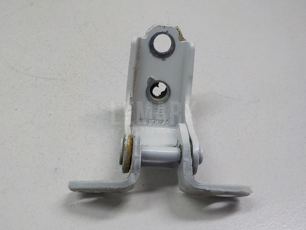 Петля двери задней левой нижняя