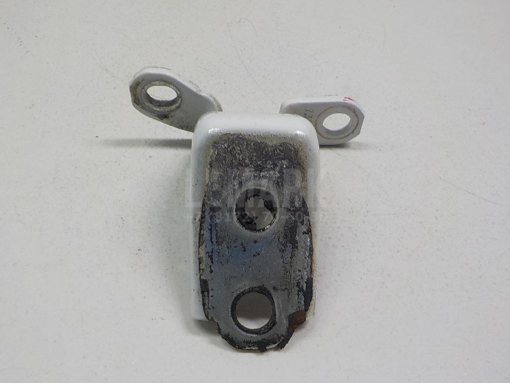 Петля двери задней левой нижняя