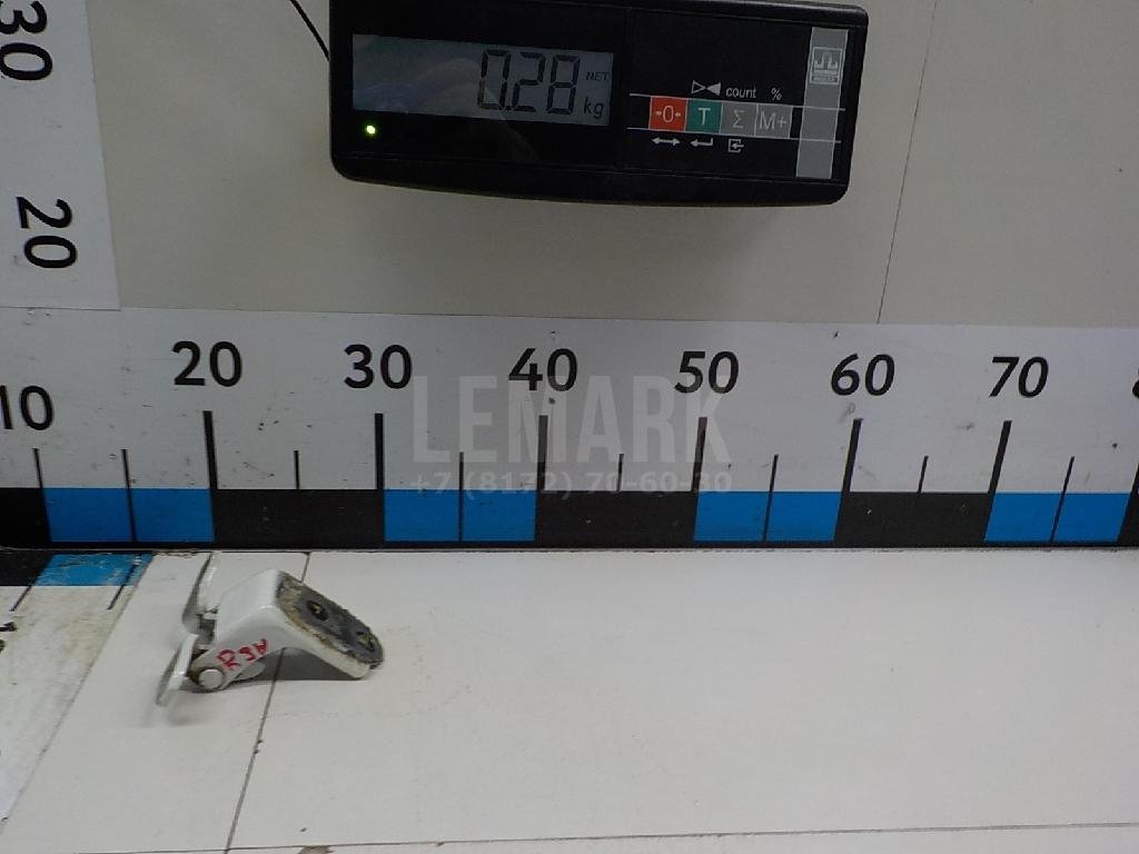 Петля двери задней правой нижняя