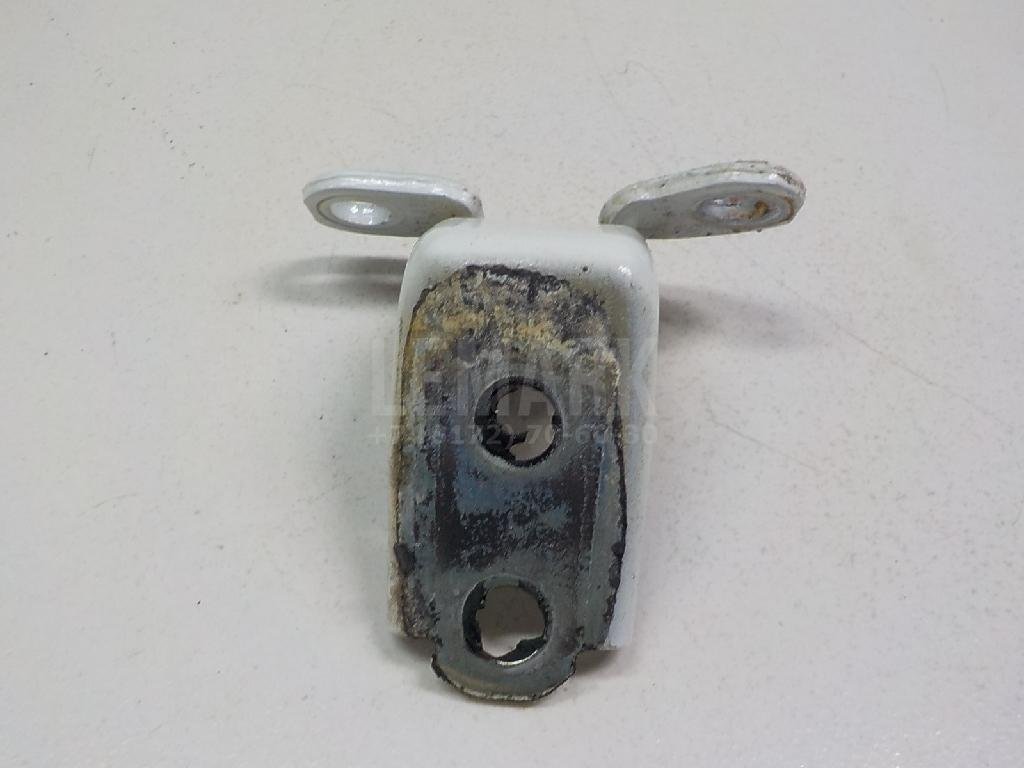 Петля двери задней правой нижняя