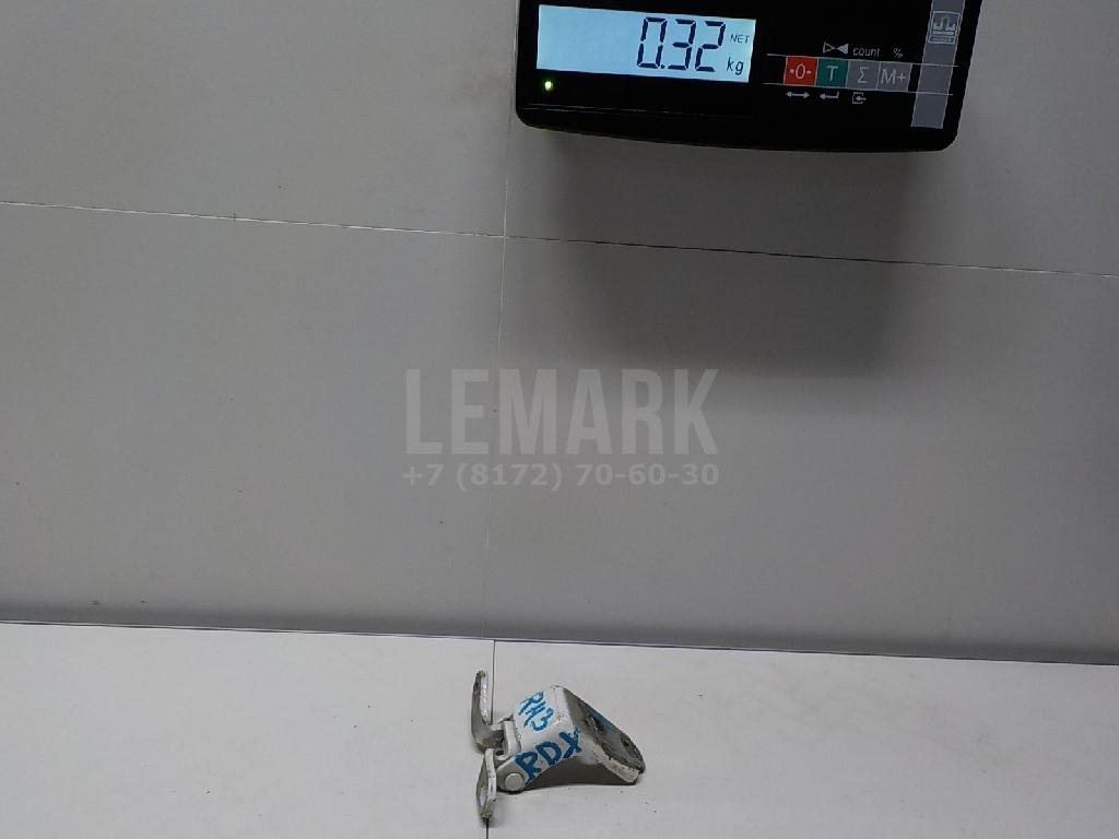 Петля двери задней правой нижняя