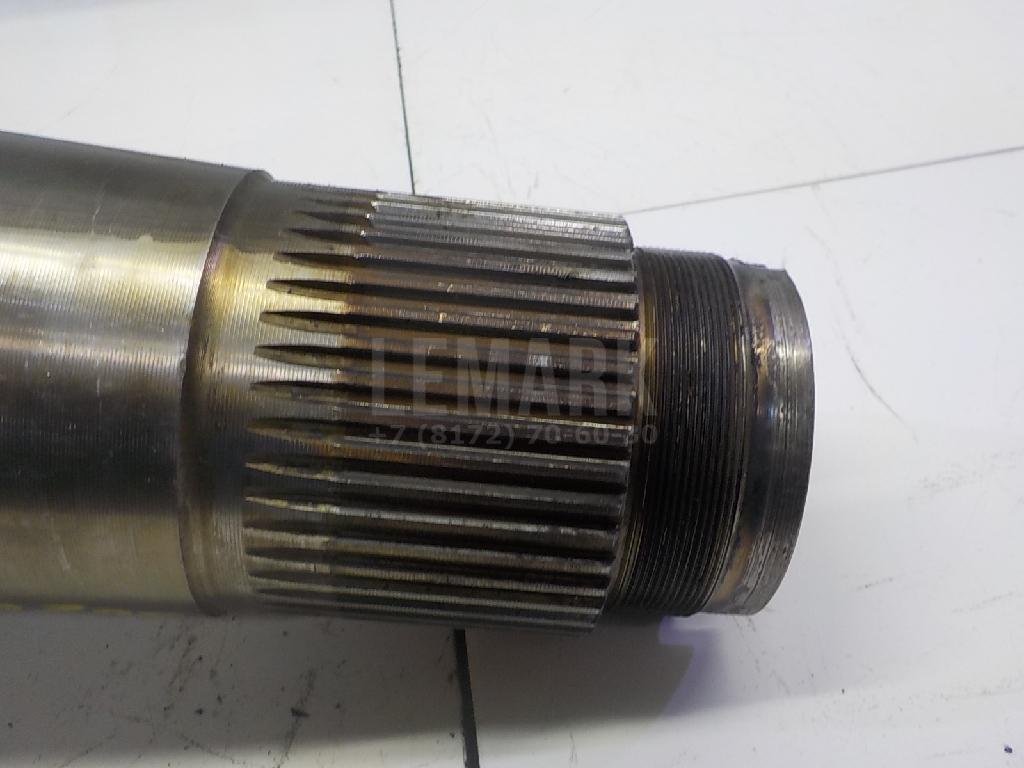 Цапфа (п.з.к.)