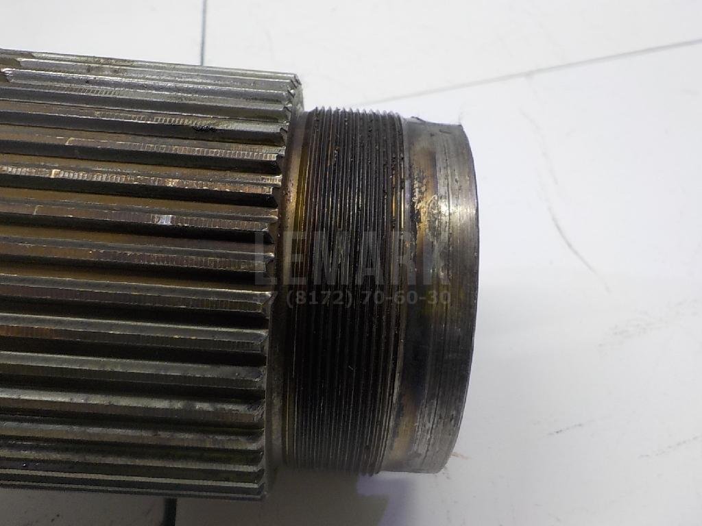 Цапфа (п.з.к.)