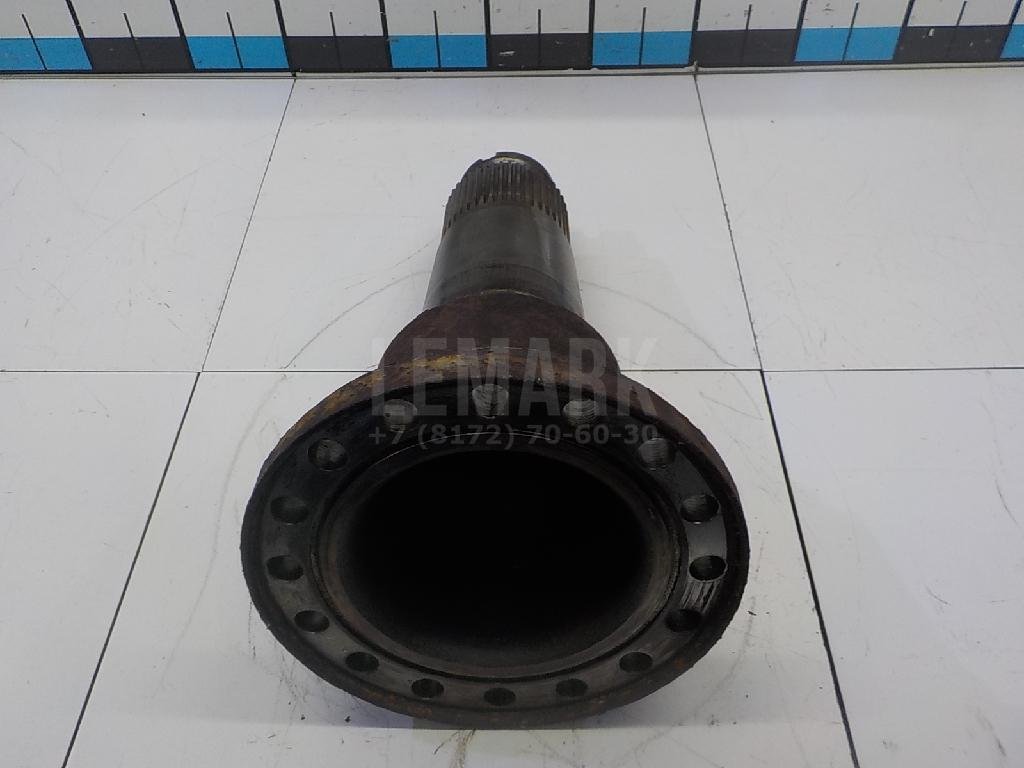 Цапфа (п.з.к.)