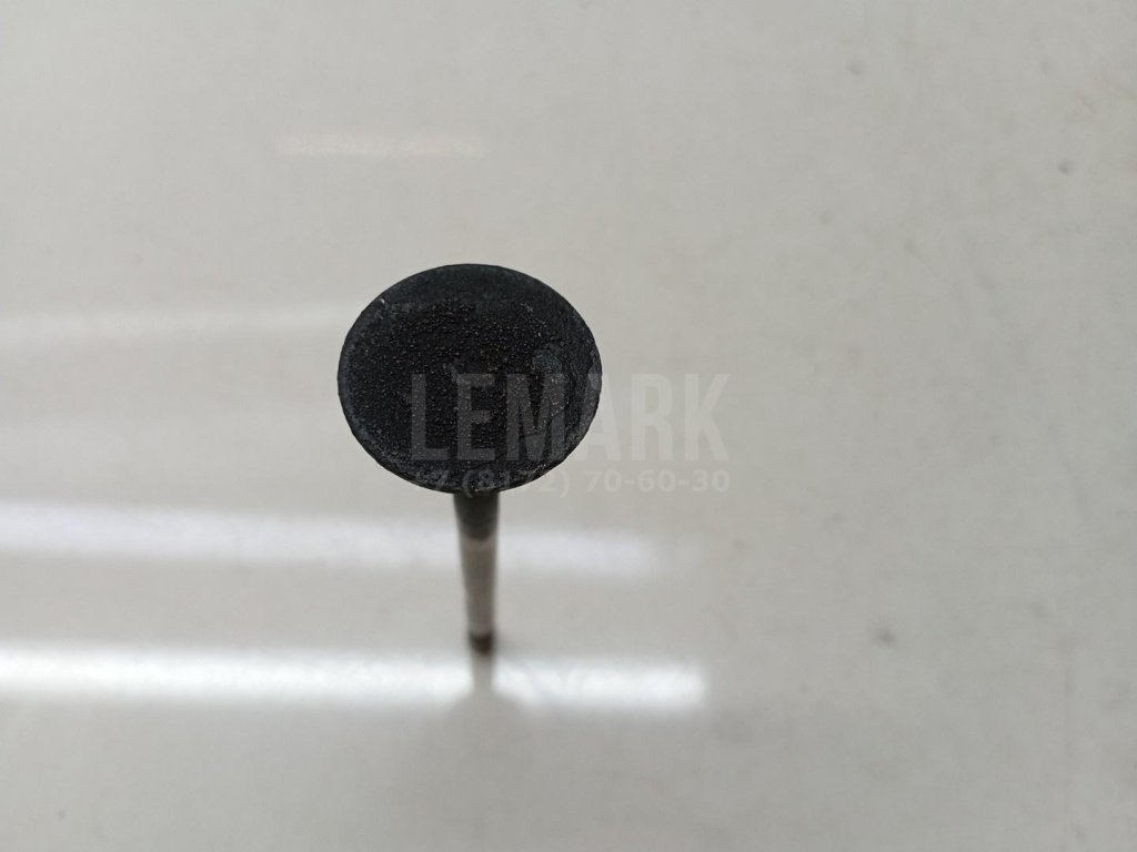 Клапан выпускной