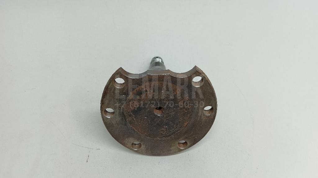 Цапфа (п.з.к.) для  Audi 100 [C4] 1991-1994