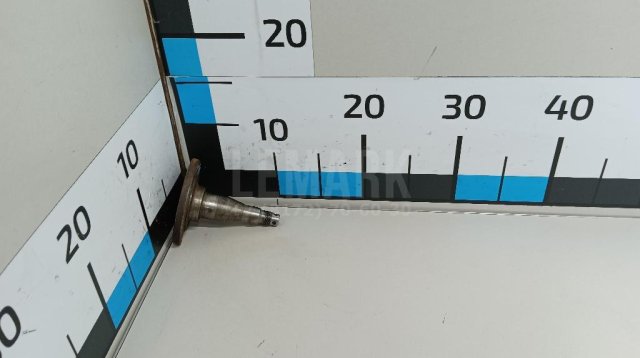 Цапфа (п.з.к.)