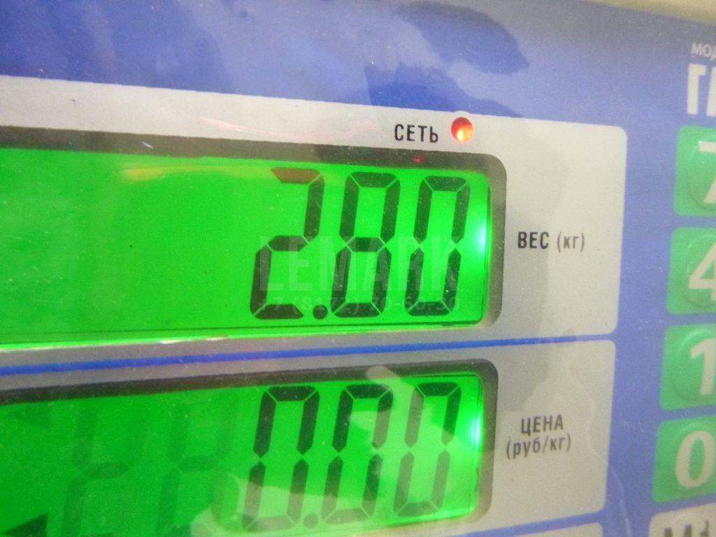 Поддон масляный двигателя