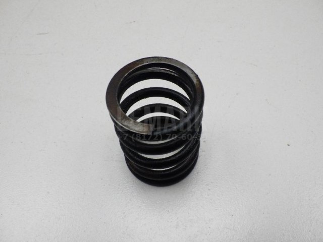 Пружина клапана