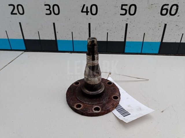 Цапфа (п.з.к.)