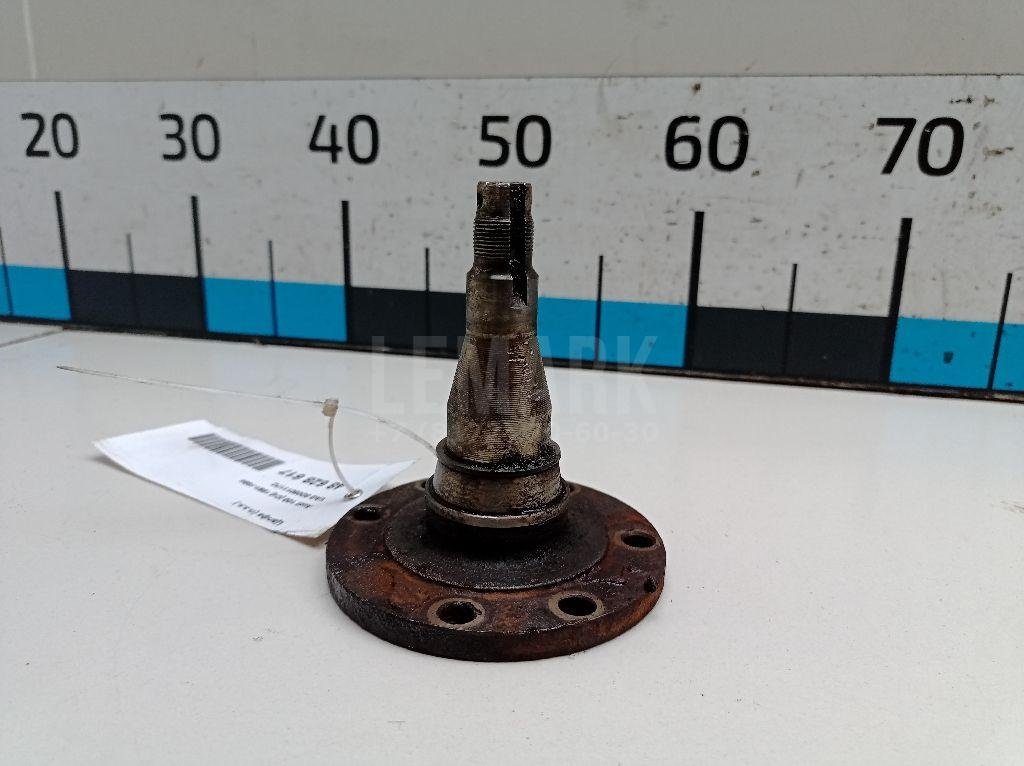 Цапфа (п.з.к.) для  Audi A3 (8Y) 2020