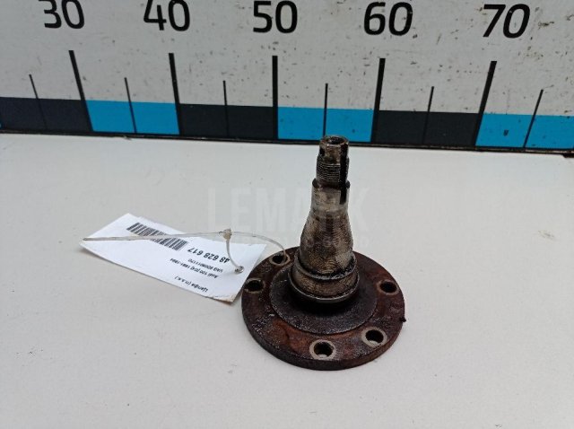 Цапфа (п.з.к.)