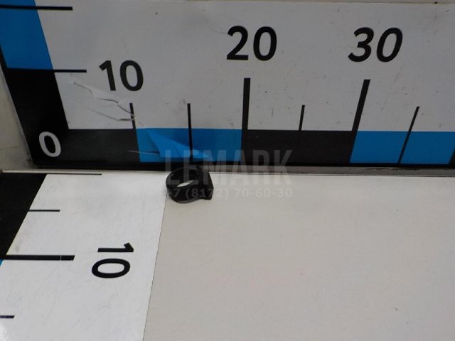 Кольцо (двигатель)