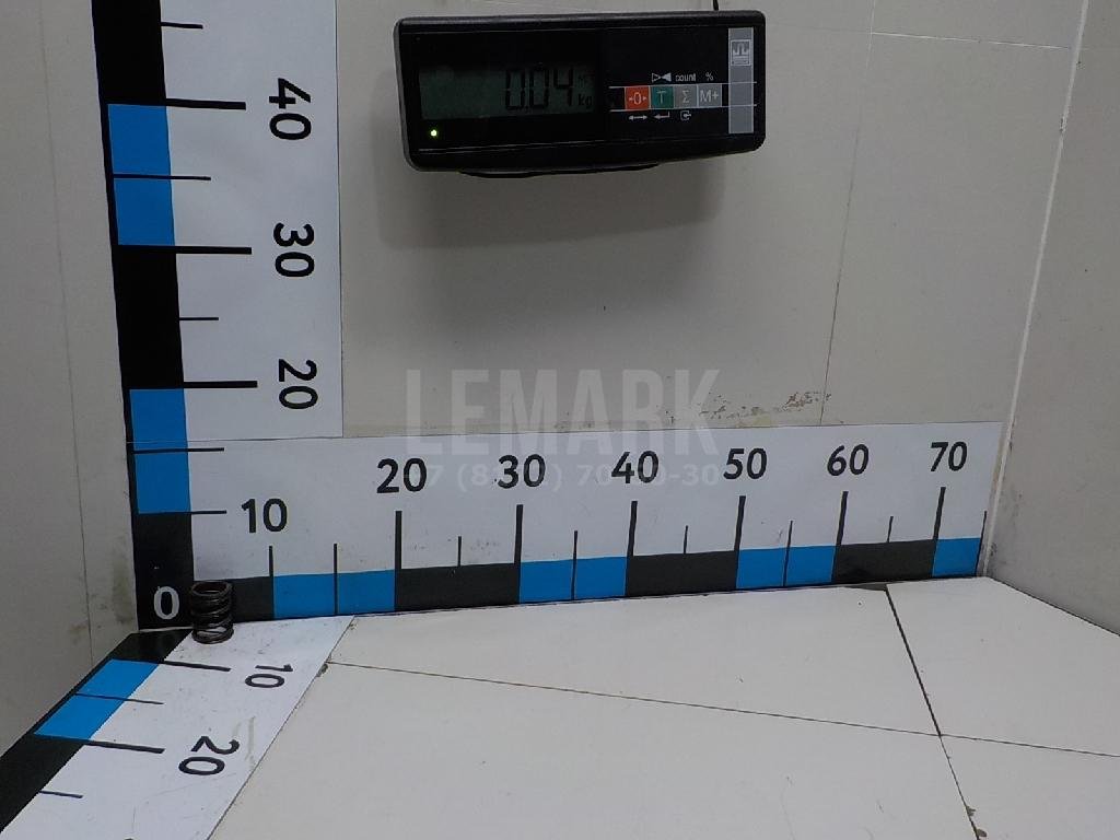 Пружина клапана