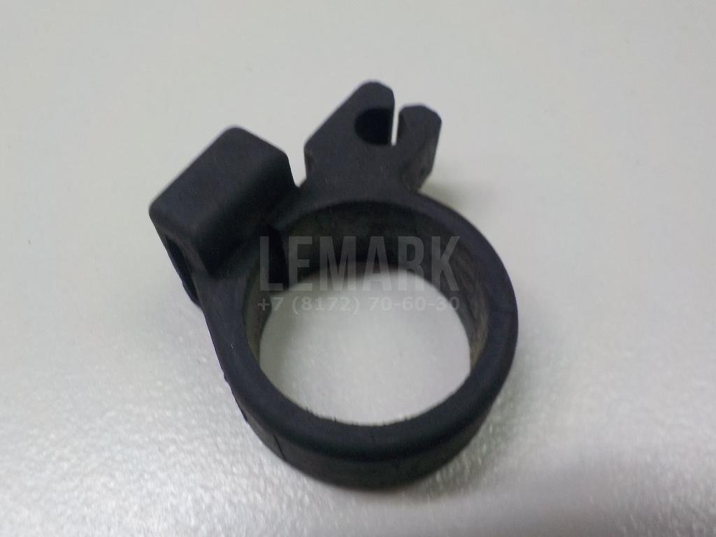 Кольцо (двигатель)