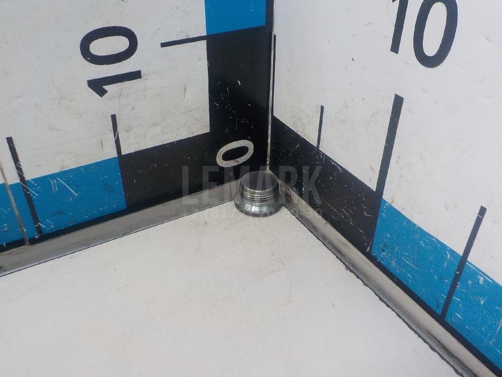 Пробка масляного поддона