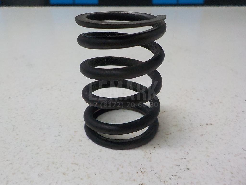 Пружина клапана