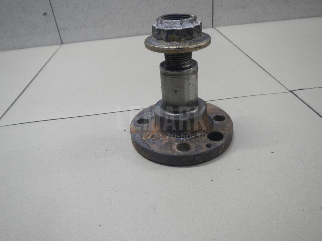 Цапфа (п.з.к.)