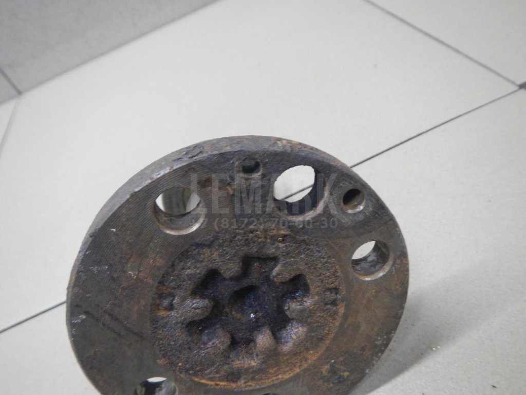 Цапфа (п.з.к.)