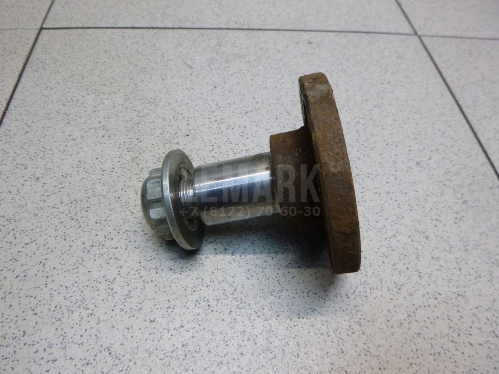 Цапфа (п.з.к.)