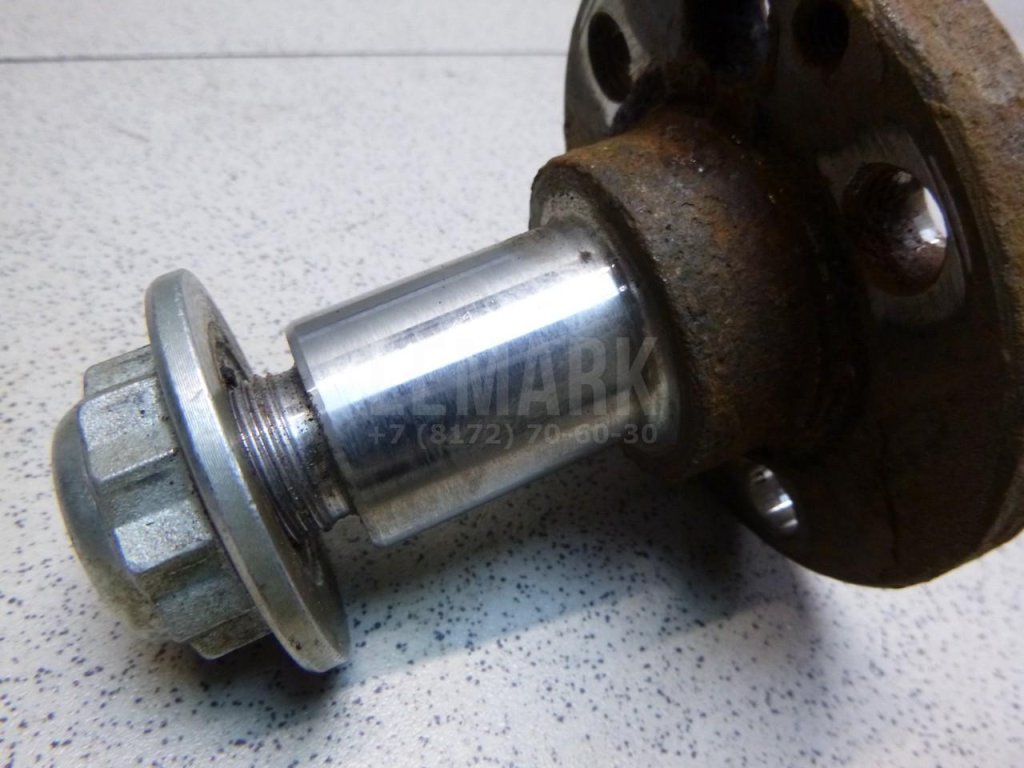 Цапфа (п.з.к.)